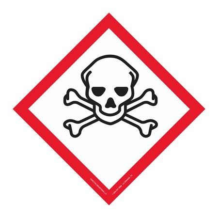 Skull and Crossbones Picto Placard